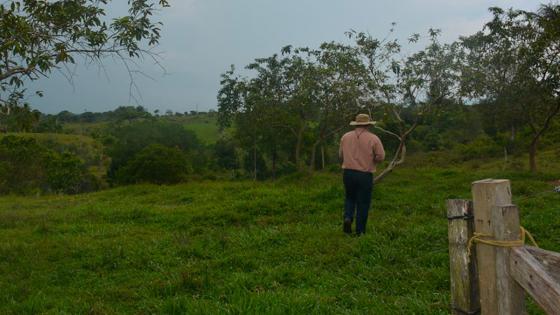 Liberan a biólogo retenido por la comunidad del Caquetá