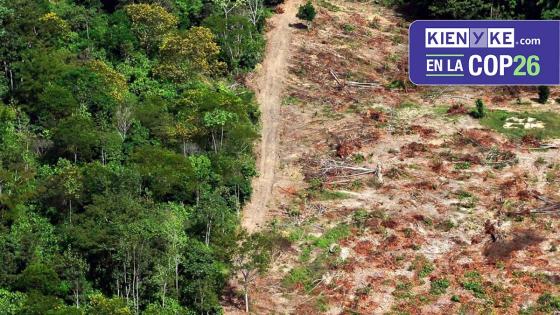 Tema desforestación en Colombia COP 26