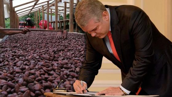 Duque - Organización Internacional del Cacao