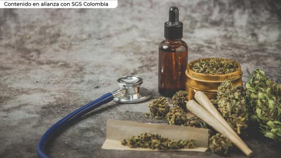 Así puede garantizar estándares de calidad en el cultivo de cannabis en Colombia