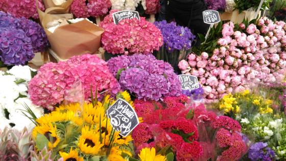 dia-madre-exportacion-flores-colombianas