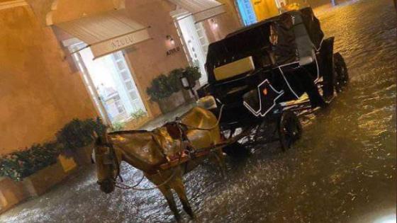 caballo cochero cartagena noticias lluvia inundación
